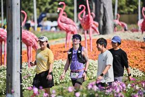 BIB: 
                            <button type="button" onclick="openModal(27793413)" class="btn btn-primary btn-sm float-right btn-popup" data-toggle="modal" data-target=".modal-high-quality">
                        <i class="fas fa-shopping-cart"></i> Add to Cart
                    </button>
                                            <button type="button" onclick="isThisMe(27793413, true)" class="btn btn-success btn-sm float-right btn-popup btn-isme hidden" data-toggle="tooltip" data-placement="bottom" title="นี่คือรูปของคุณใช่ไหม คลิกที่นี่เพื่อเอาเข้าอัลบั้ม">
                        <i class="fas fa-plus"></i> Add to album
                    </button>
                    <button type="button" onclick="isThisMe(27793413, false)" class="btn btn-warning btn-sm float-right btn-popup btn-isnotme hidden">
                        <i class="fas fa-ban"></i> Remove from album
                    </button>